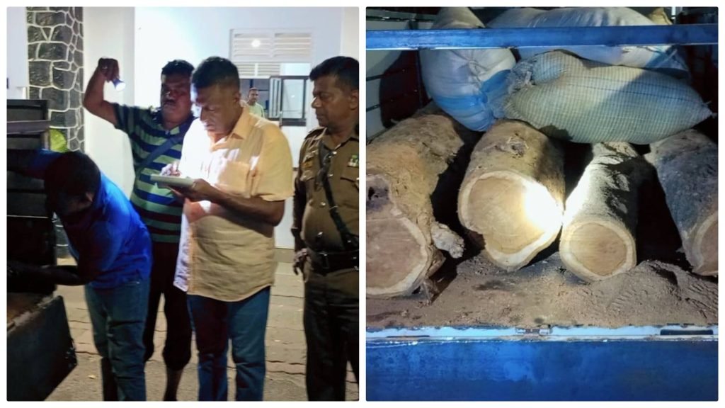 தேக்கு மரக்குற்றிகளை சட்ட விரோதமாக ஏற்றிச் சென்ற சந்தேக நபர் கைது