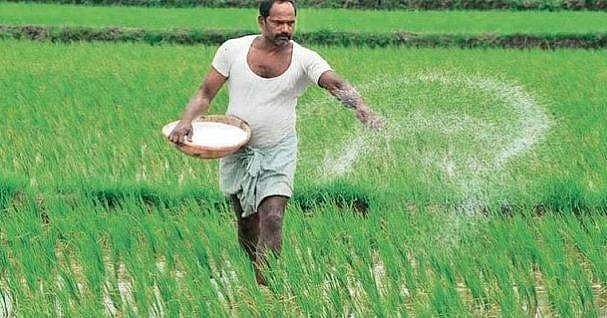 பெப்ரவரி மாதம் ‘விவசாய காப்புறுதி மாதமாக’ பிரகடனம்!